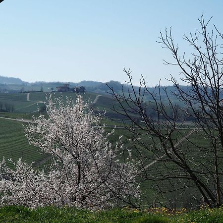 Tenuta Montanello B&B Castiglione Falletto Exteriér fotografie