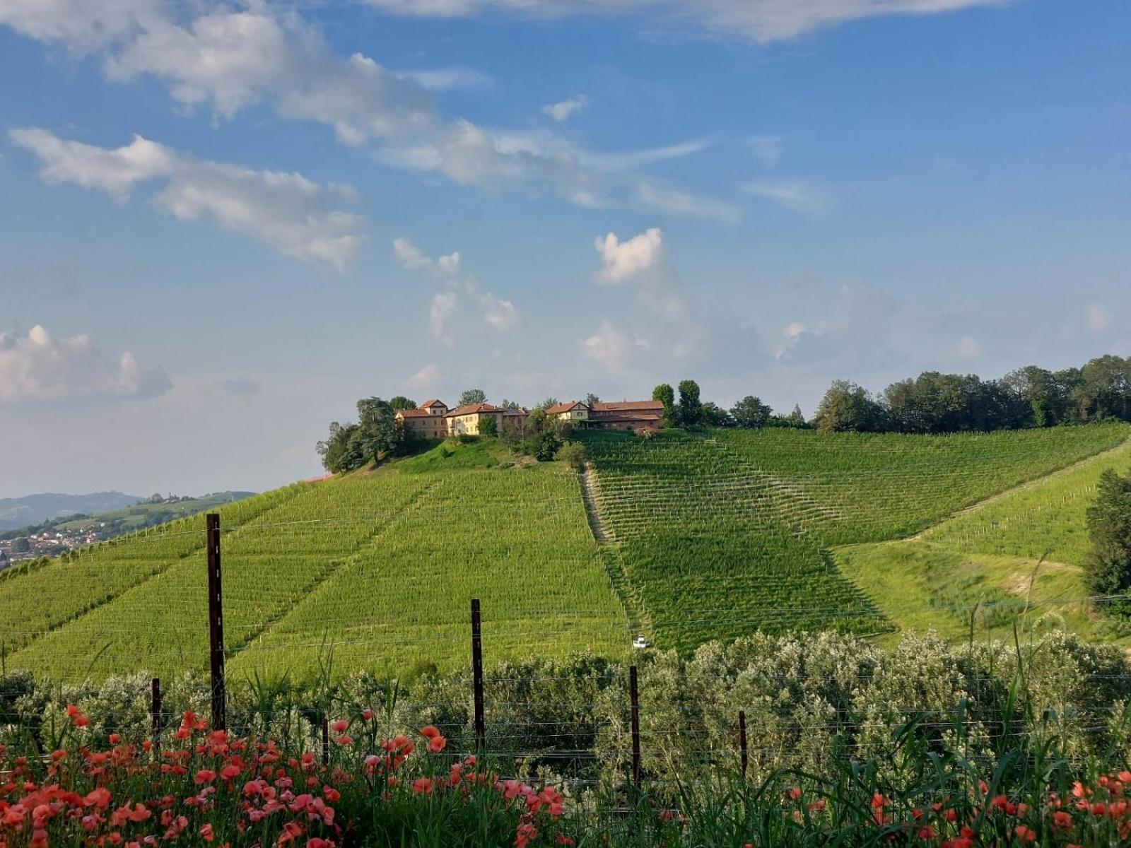 Tenuta Montanello B&B Castiglione Falletto Exteriér fotografie