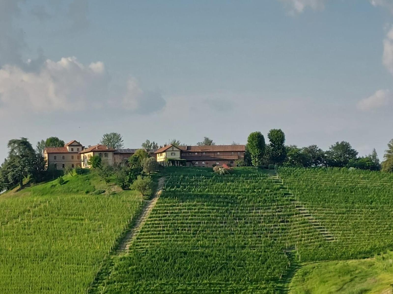 Tenuta Montanello B&B Castiglione Falletto Exteriér fotografie