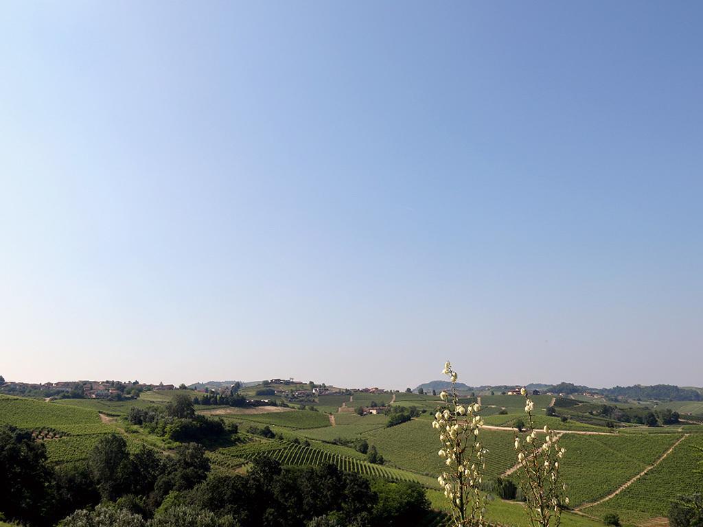 Tenuta Montanello B&B Castiglione Falletto Exteriér fotografie