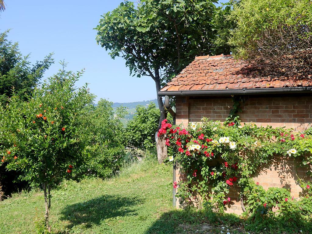 Tenuta Montanello B&B Castiglione Falletto Exteriér fotografie