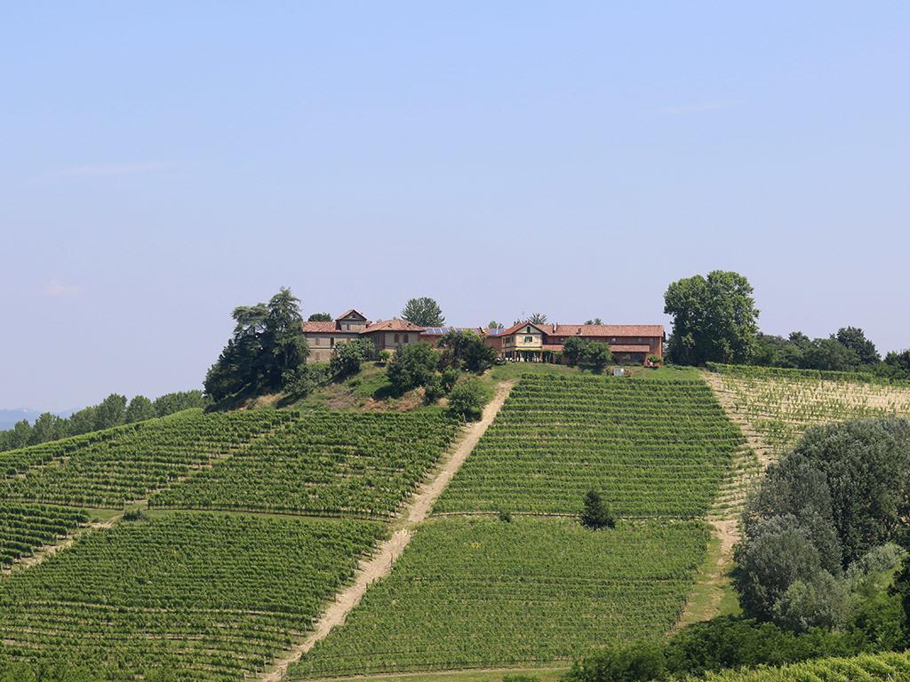 Tenuta Montanello B&B Castiglione Falletto Exteriér fotografie