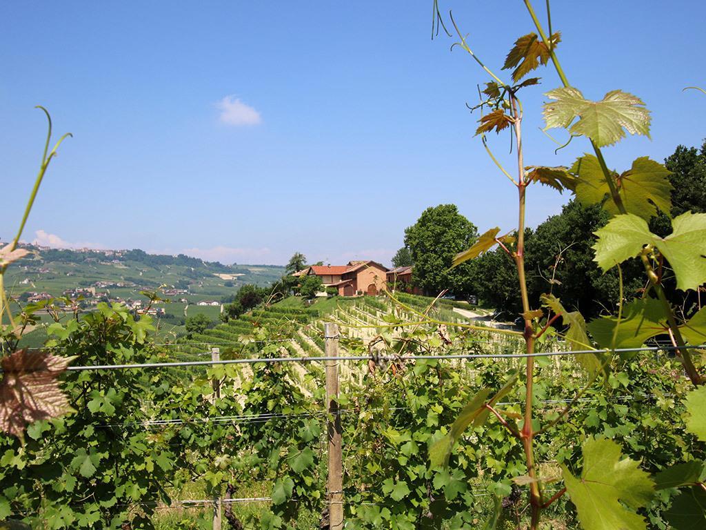 Tenuta Montanello B&B Castiglione Falletto Exteriér fotografie