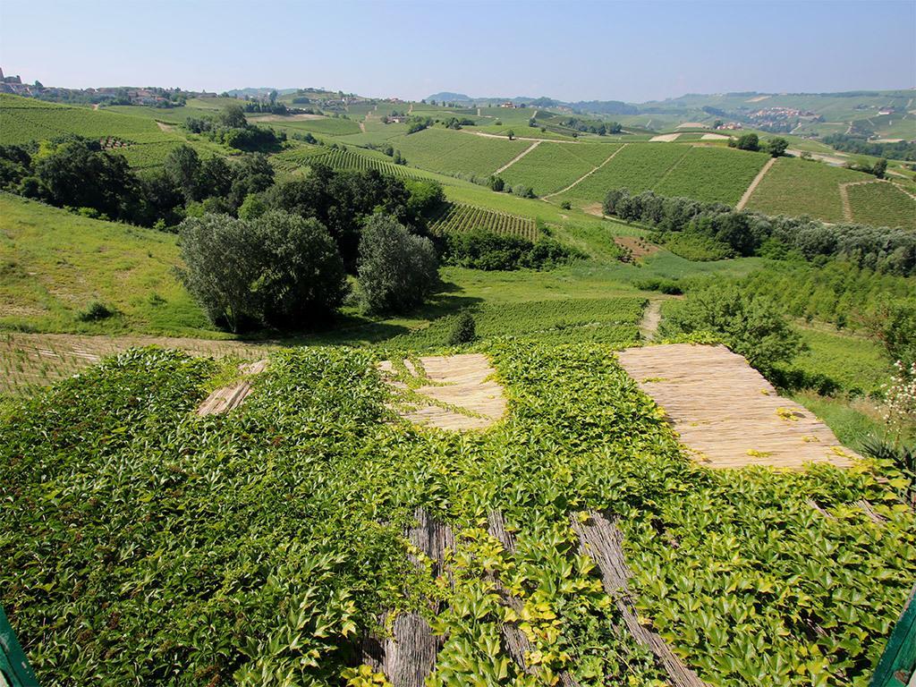 Tenuta Montanello B&B Castiglione Falletto Exteriér fotografie