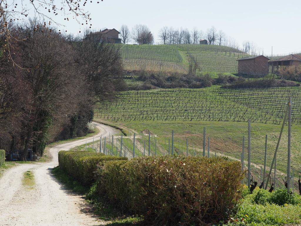 Tenuta Montanello B&B Castiglione Falletto Exteriér fotografie